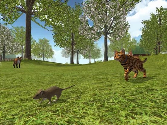 Изображение игры: Cat Simulator 2020