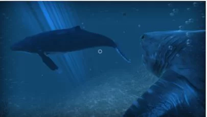 Изображение игры: VR Shark