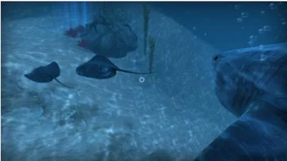 Изображение игры: VR Shark