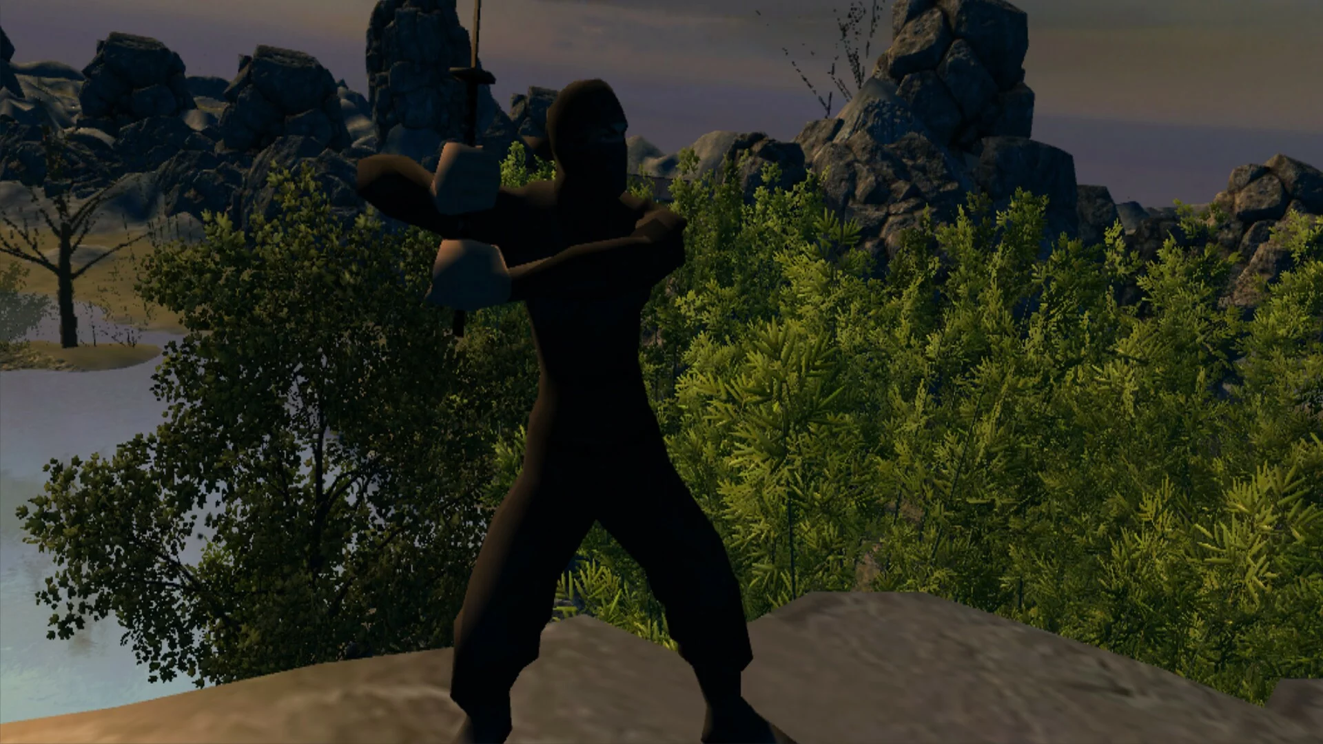 Изображение игры: Aka Ninja VR