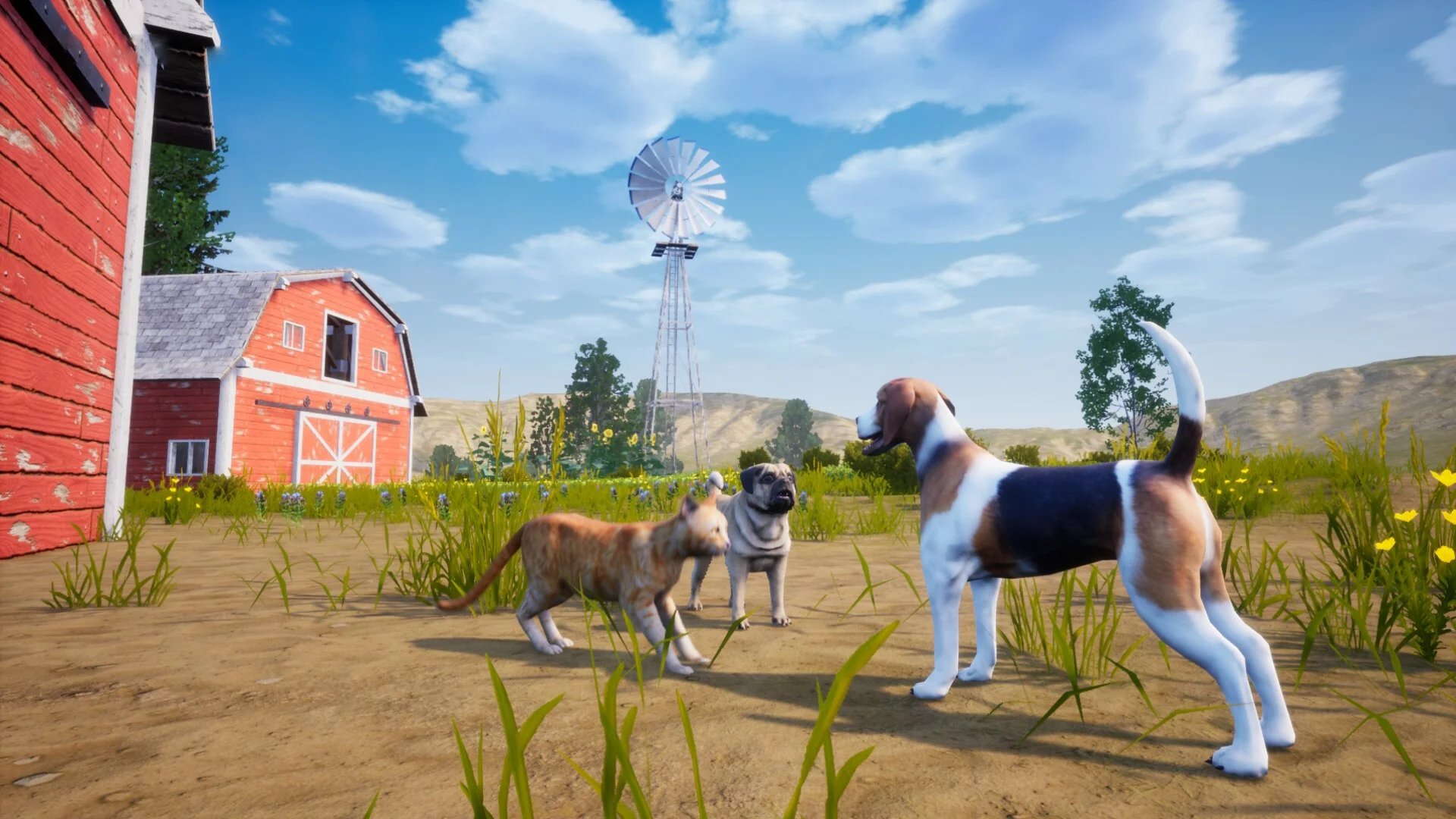 Изображение игры: Cat Simulator: Meow