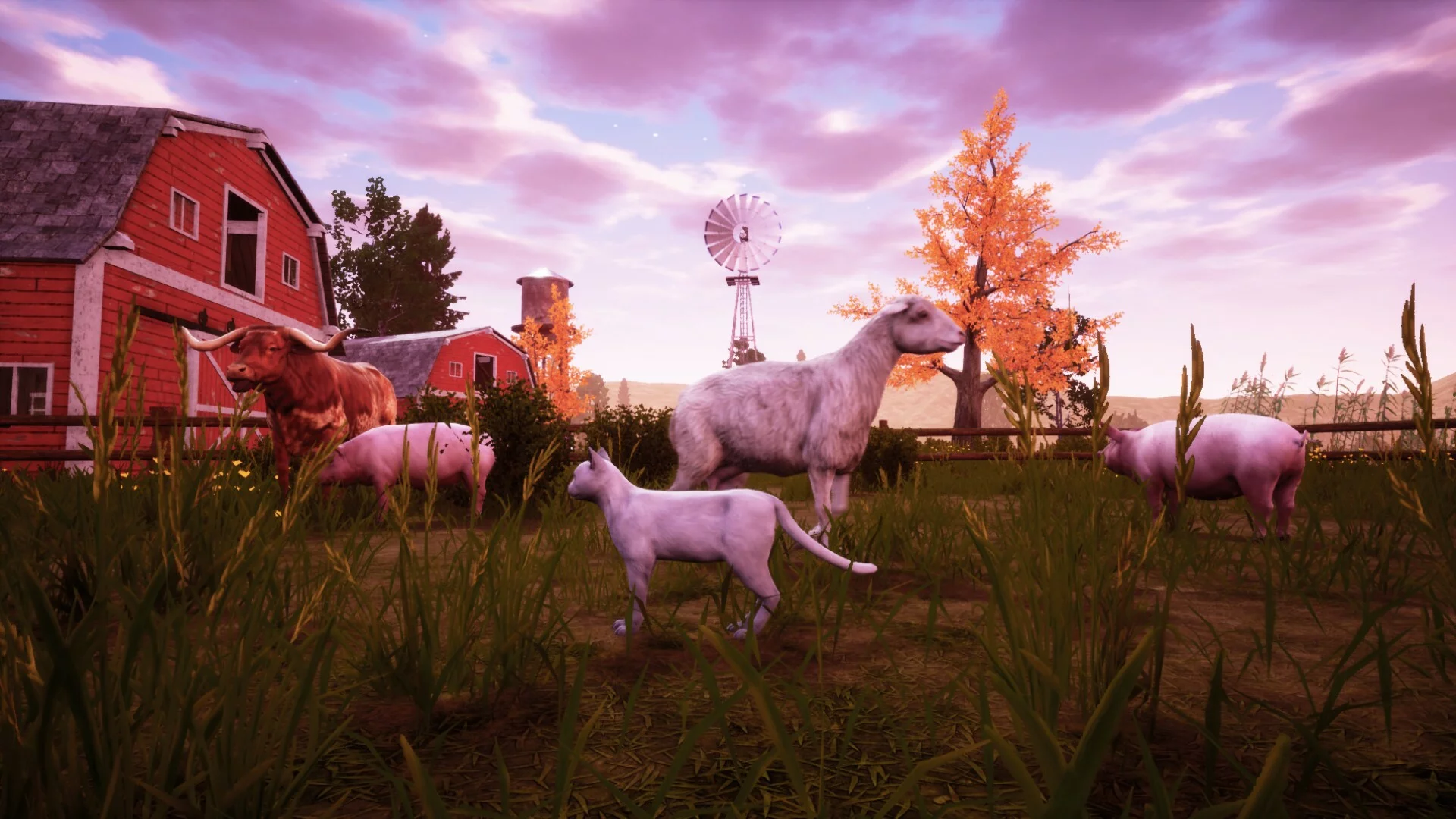 Изображение игры: Cat Simulator: Meow