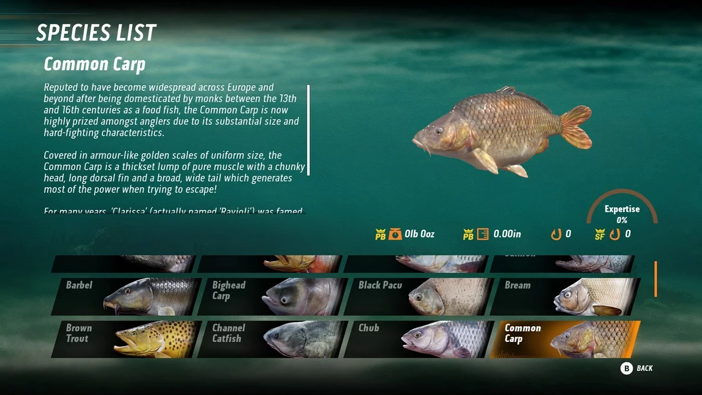 Изображение игры: Fishing Sim World: Pro Tour + The Catch: Carp & Coarse
