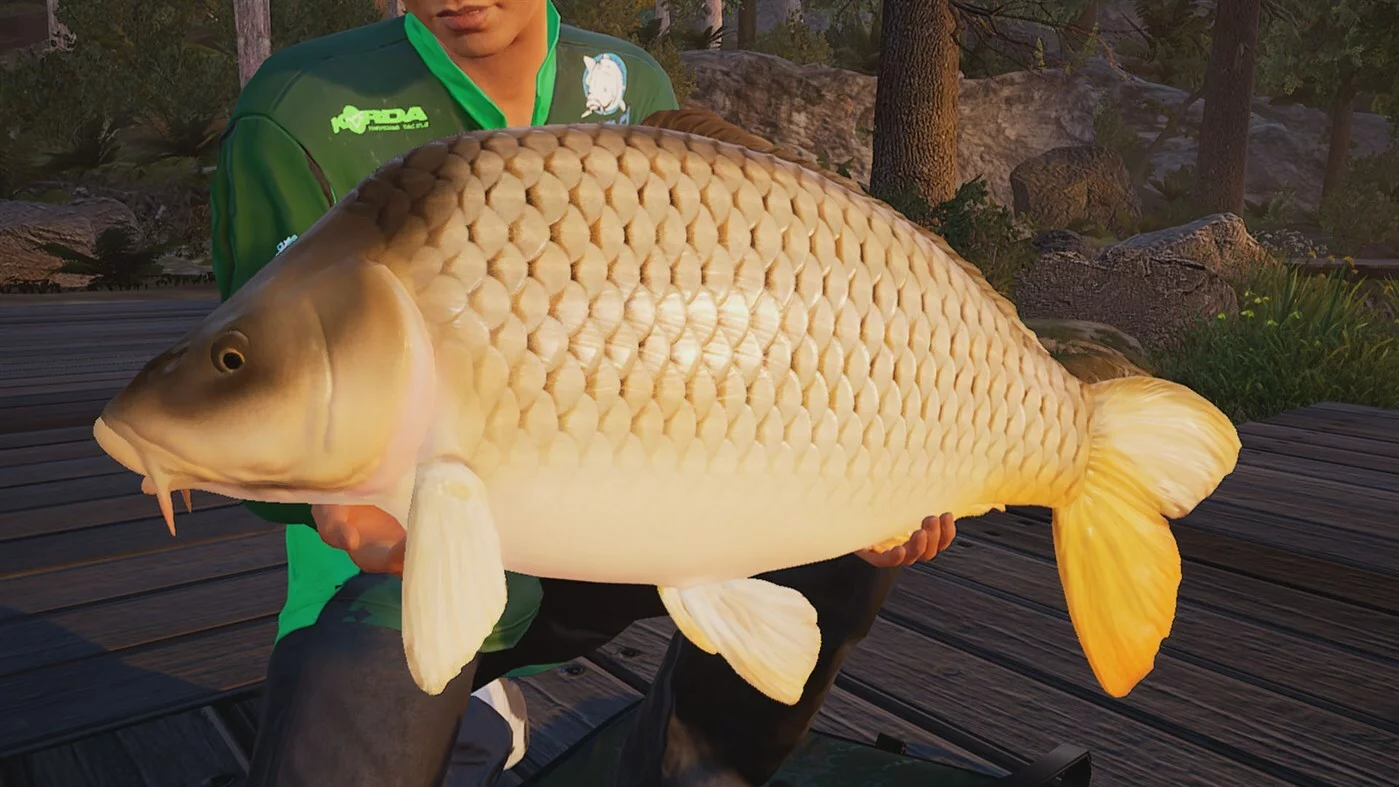 Изображение игры: Fishing Sim World: Pro Tour + The Catch: Carp & Coarse