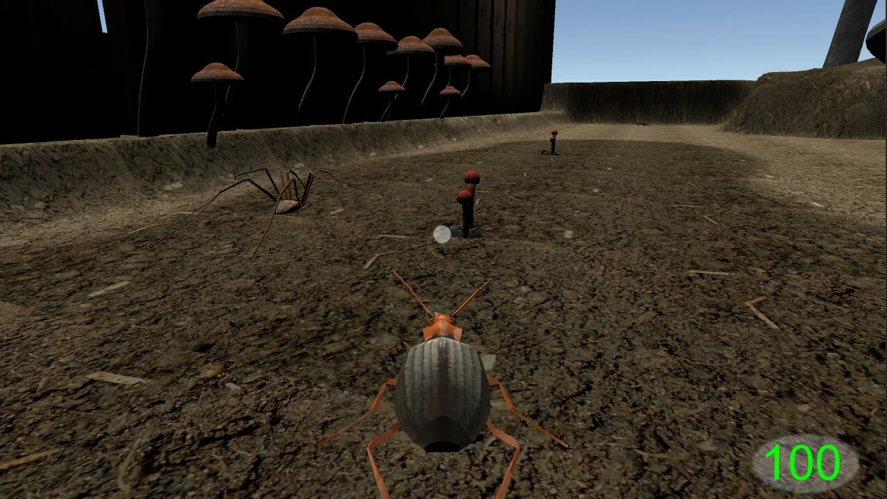 Изображение игры: Insect: Bombardier beetle