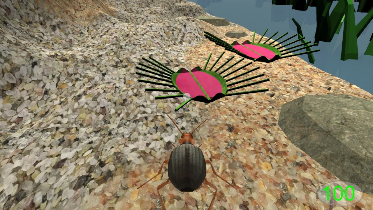 Изображение игры: Insect: Bombardier beetle