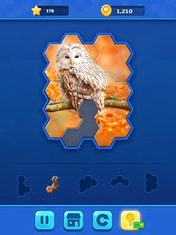 Изображение игры: Hexa Jigsaw Challenge