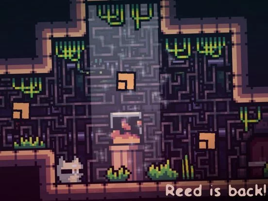 Изображение игры: Reed 2