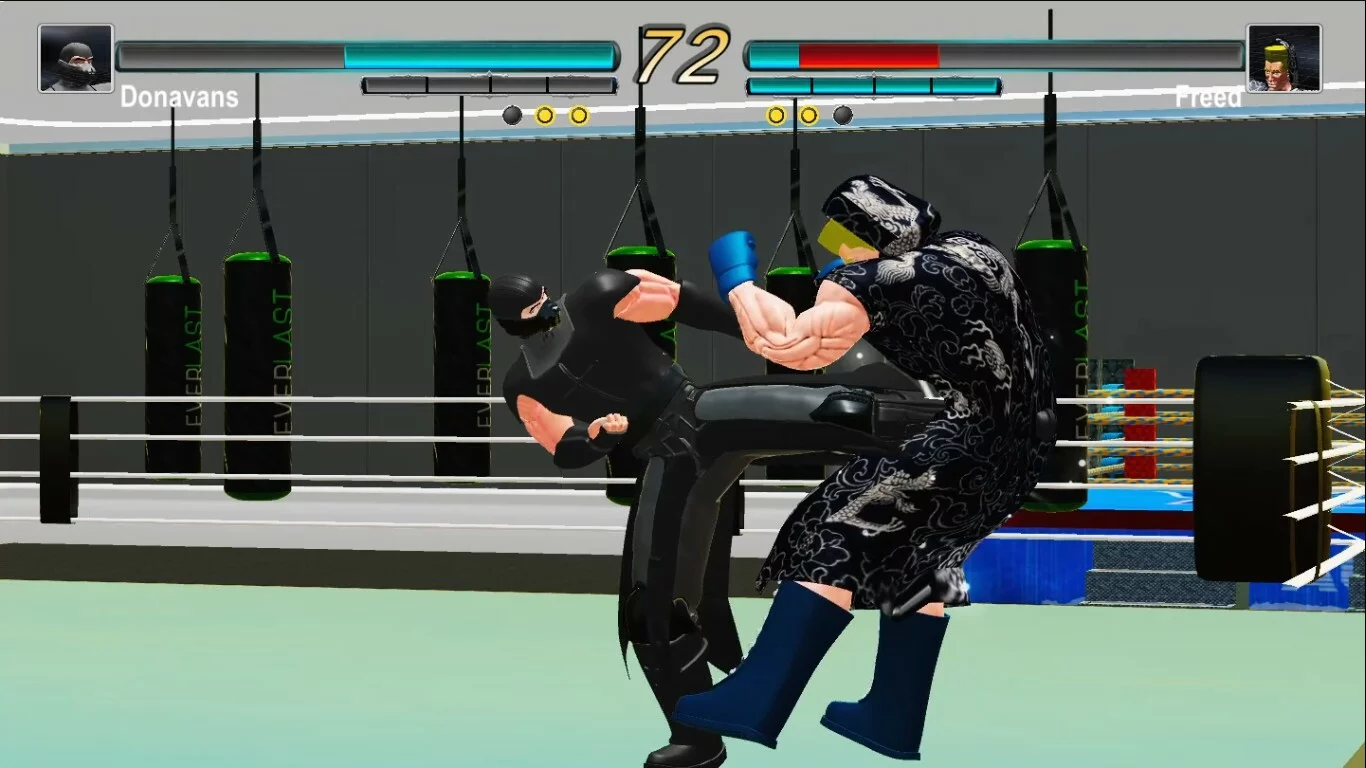 Изображение игры: Unlimited Fight
