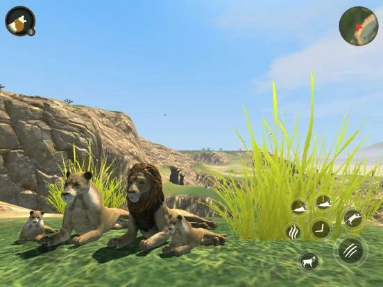 Изображение игры: Wild Lion Survival Simulator