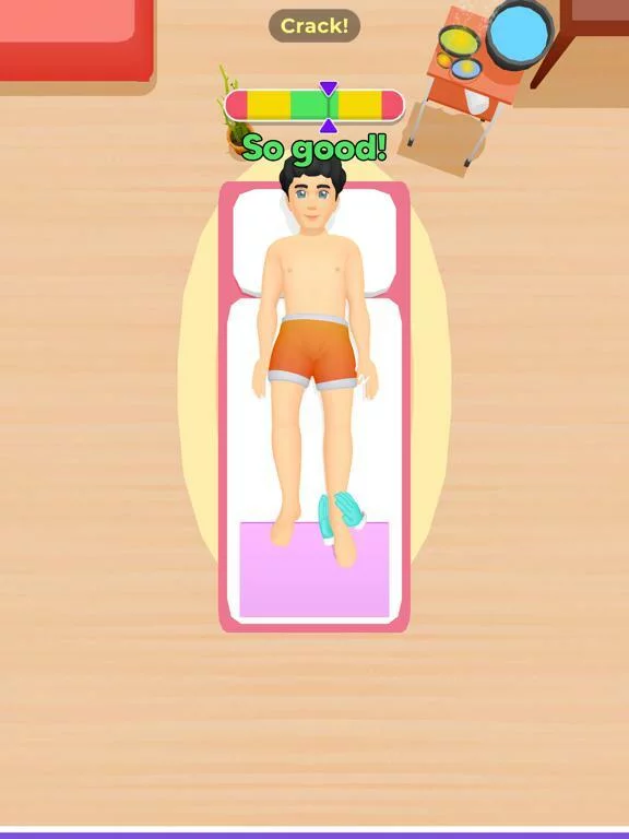 Изображение игры: Spa Master