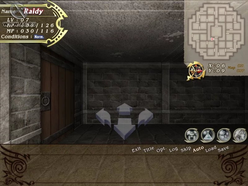 Изображение игры: Lightning Warrior Raidy