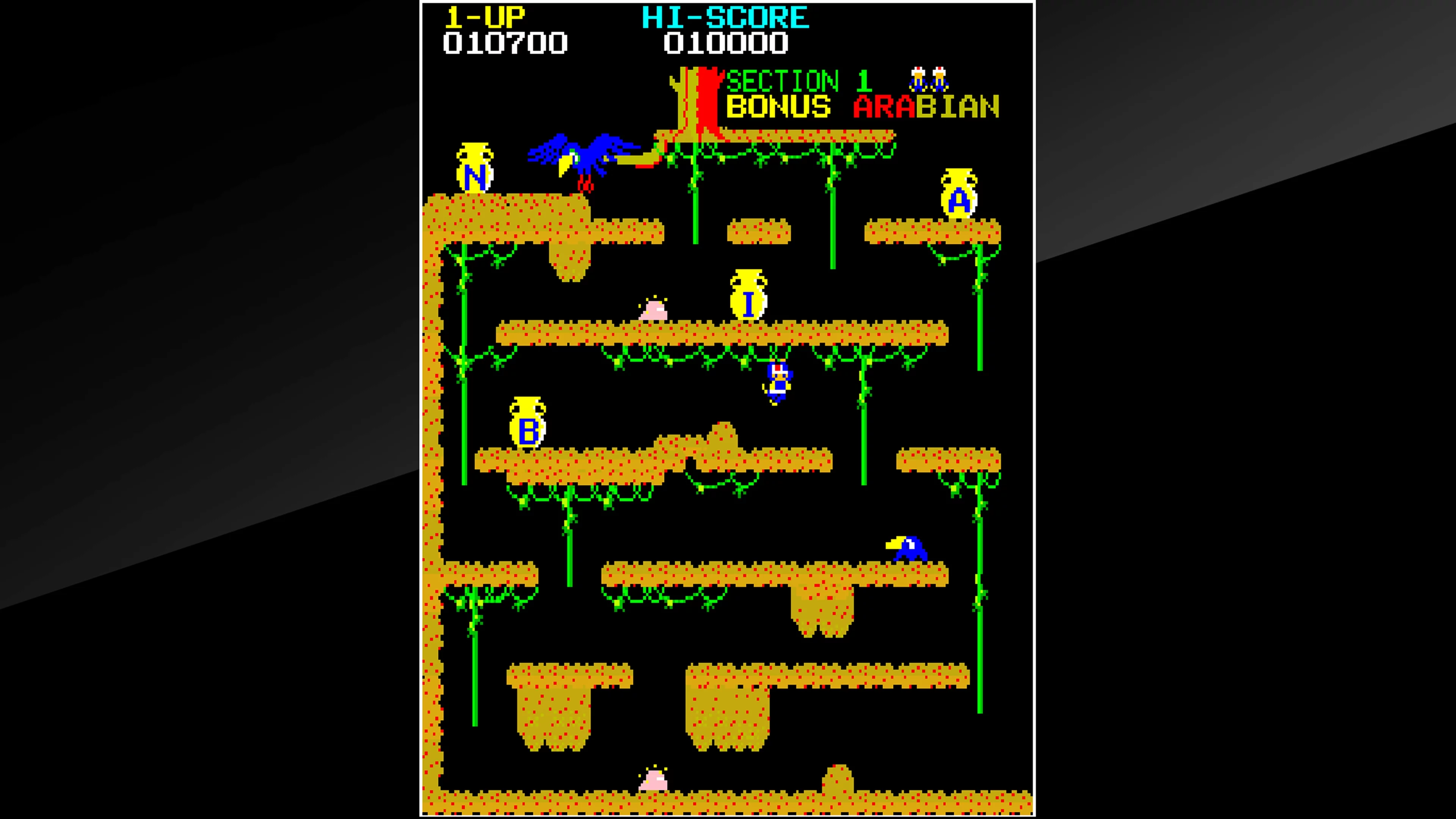 Изображение игры: Arcade Archives ARABIAN