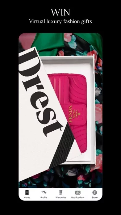 Изображение игры: DREST
