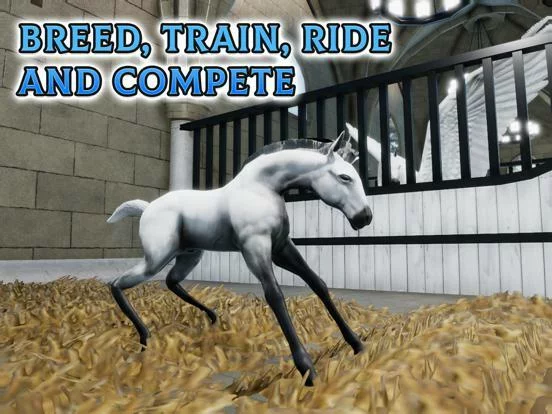Изображение игры: Horse Academy Island