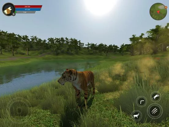 Изображение игры: Asian Tiger Survival Simulator