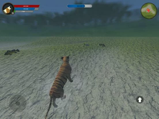 Изображение игры: Asian Tiger Survival Simulator
