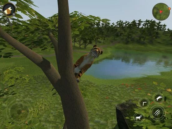 Изображение игры: Asian Tiger Survival Simulator