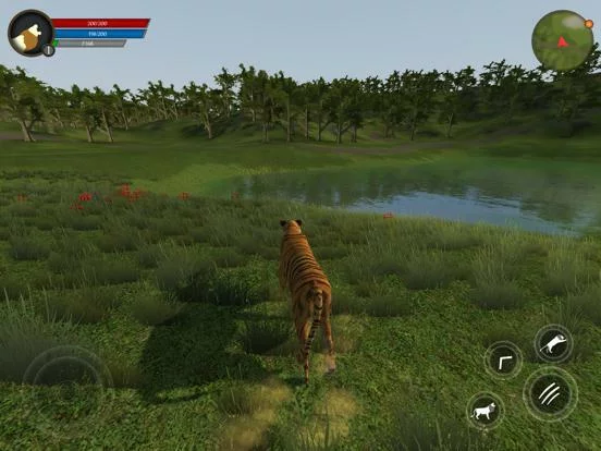 Изображение игры: Asian Tiger Survival Simulator