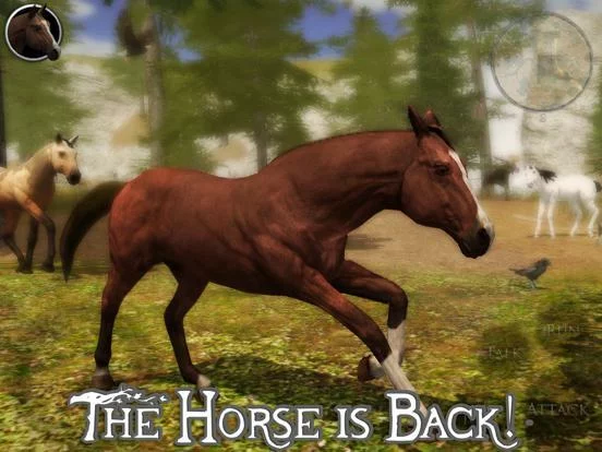 Изображение игры: Ultimate Horse Simulator 2
