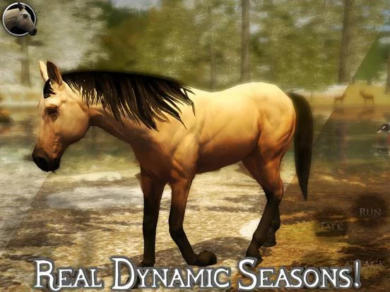 Изображение игры: Ultimate Horse Simulator 2