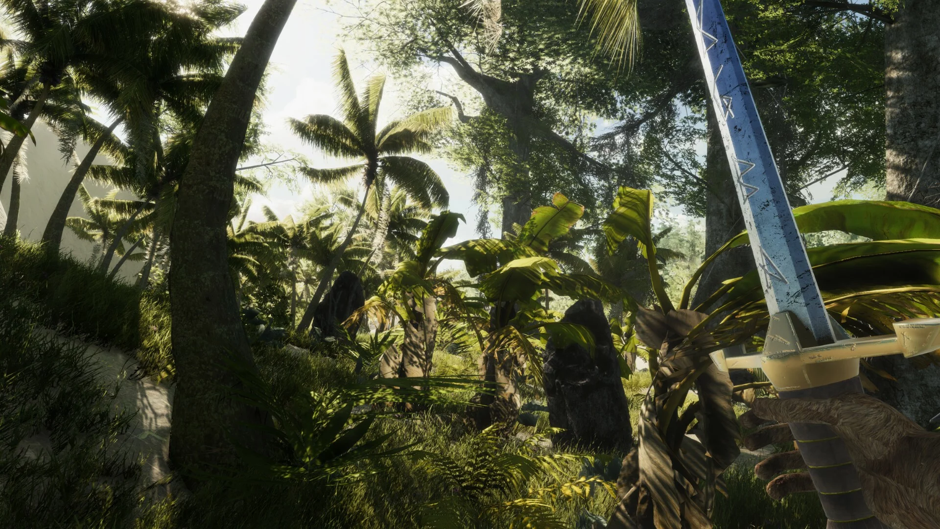 Изображение игры: Bromeliad