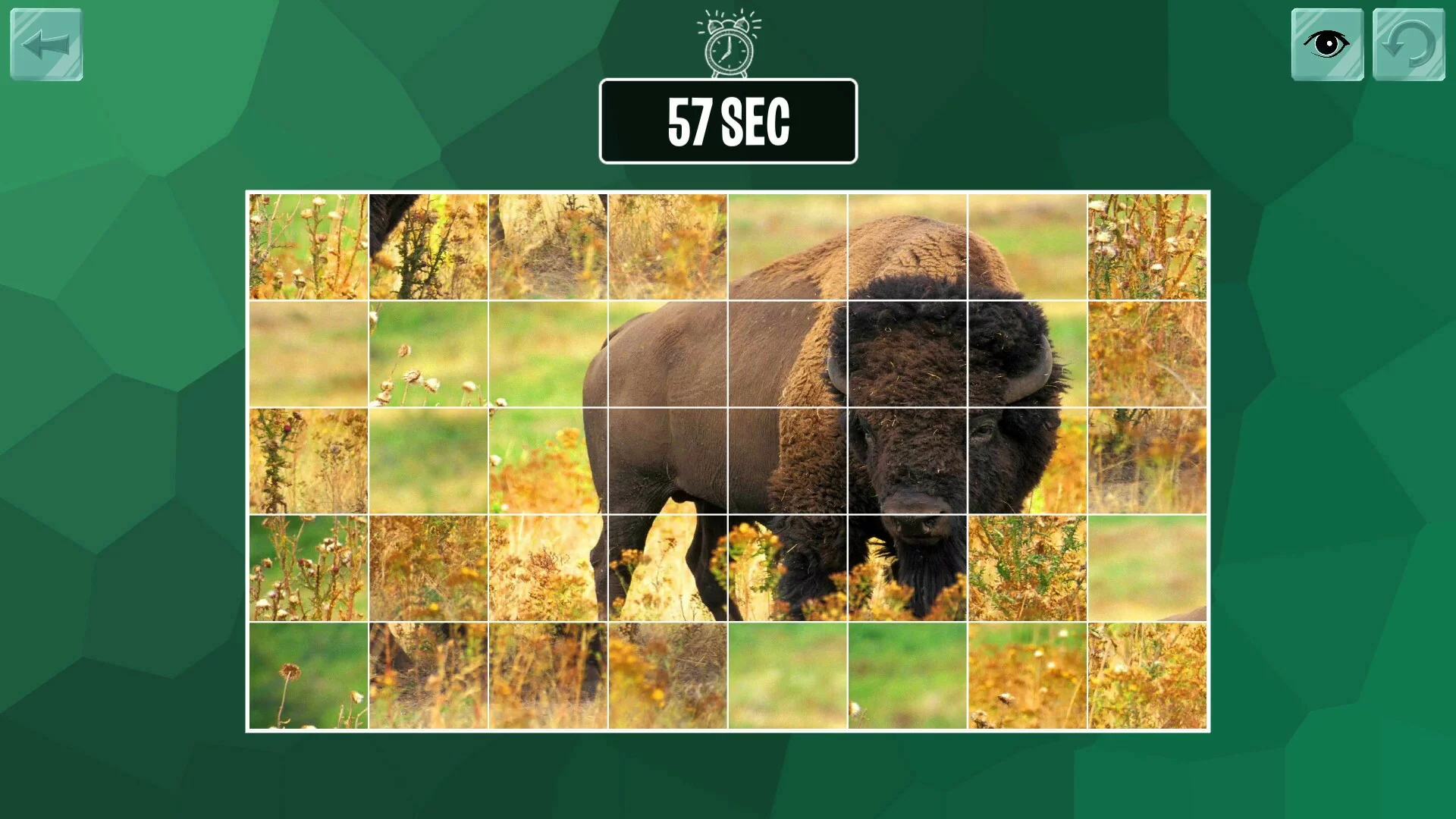 Изображение игры: Easy puzzle: Animals 2