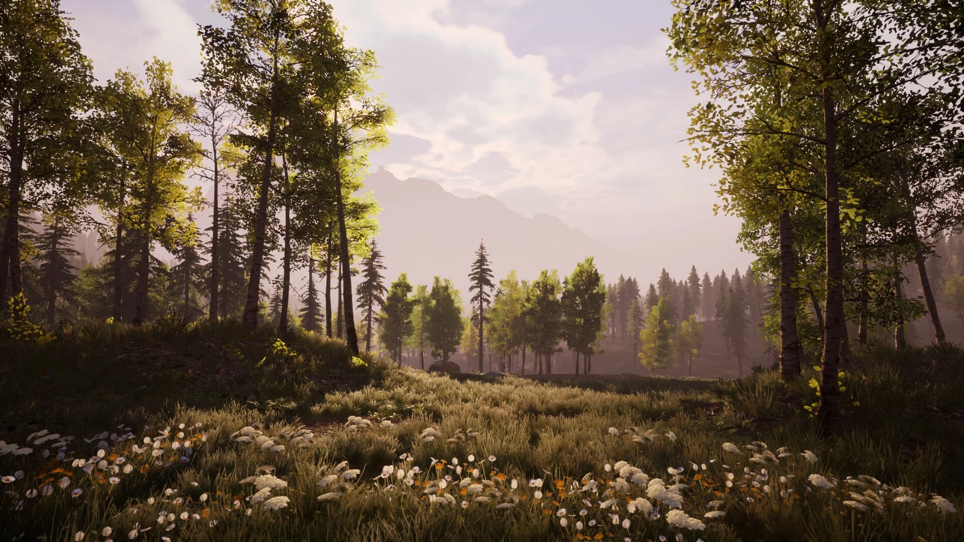 Изображение игры: The Last Saviour