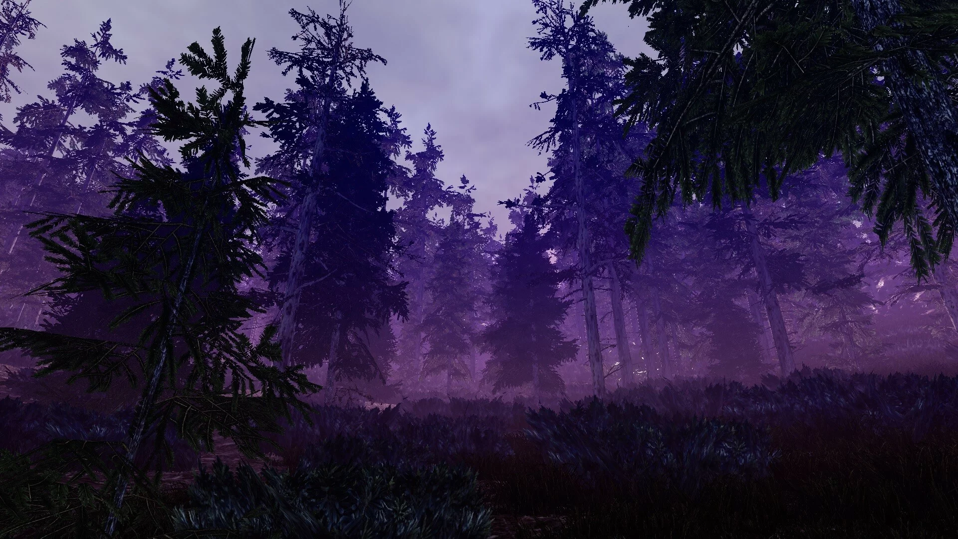 Изображение игры: Walking Simulator A Month Club (Complete Edition)
