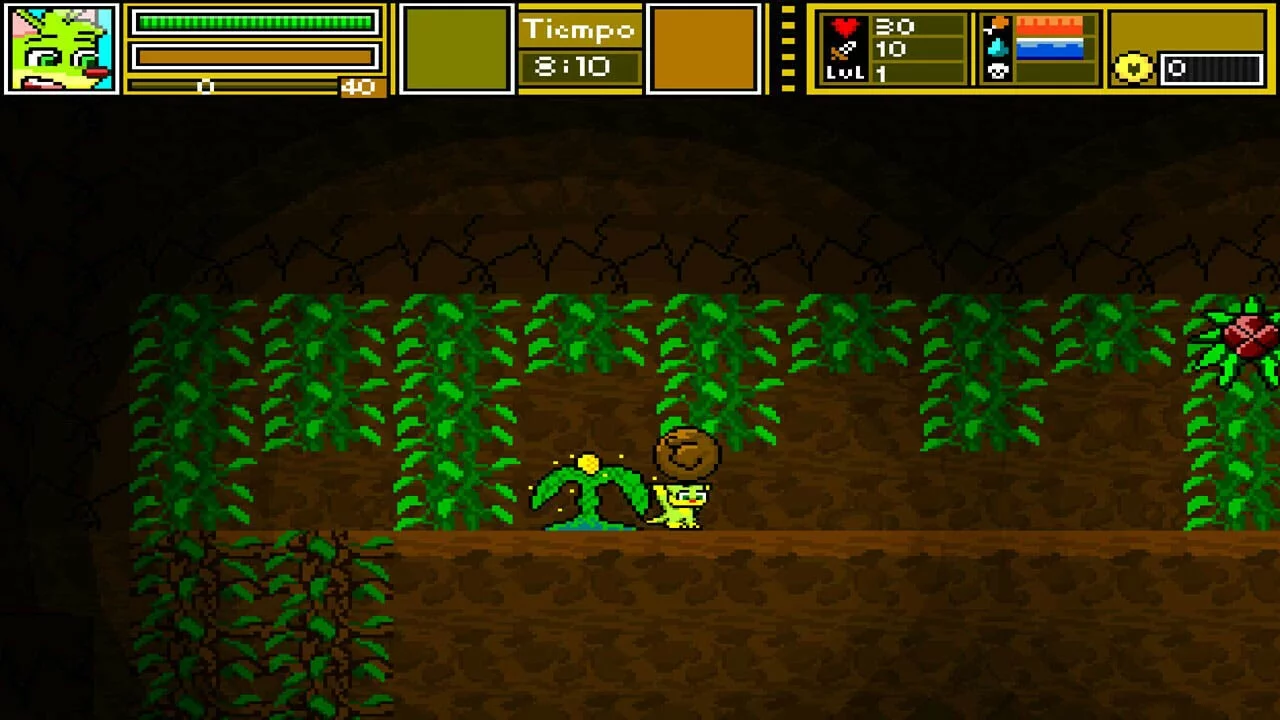 Изображение игры: Zac Zac adventure