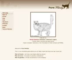 Изображение игры: Pure Felinity