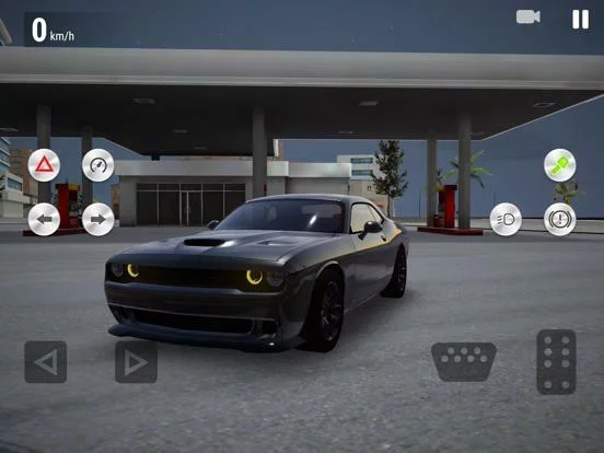 Изображение игры: Real Driving School