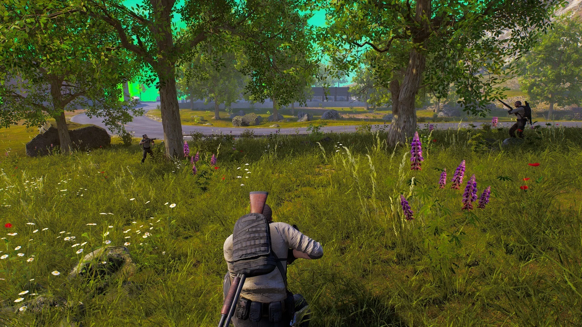 Изображение игры: ANAREA Battle Royale