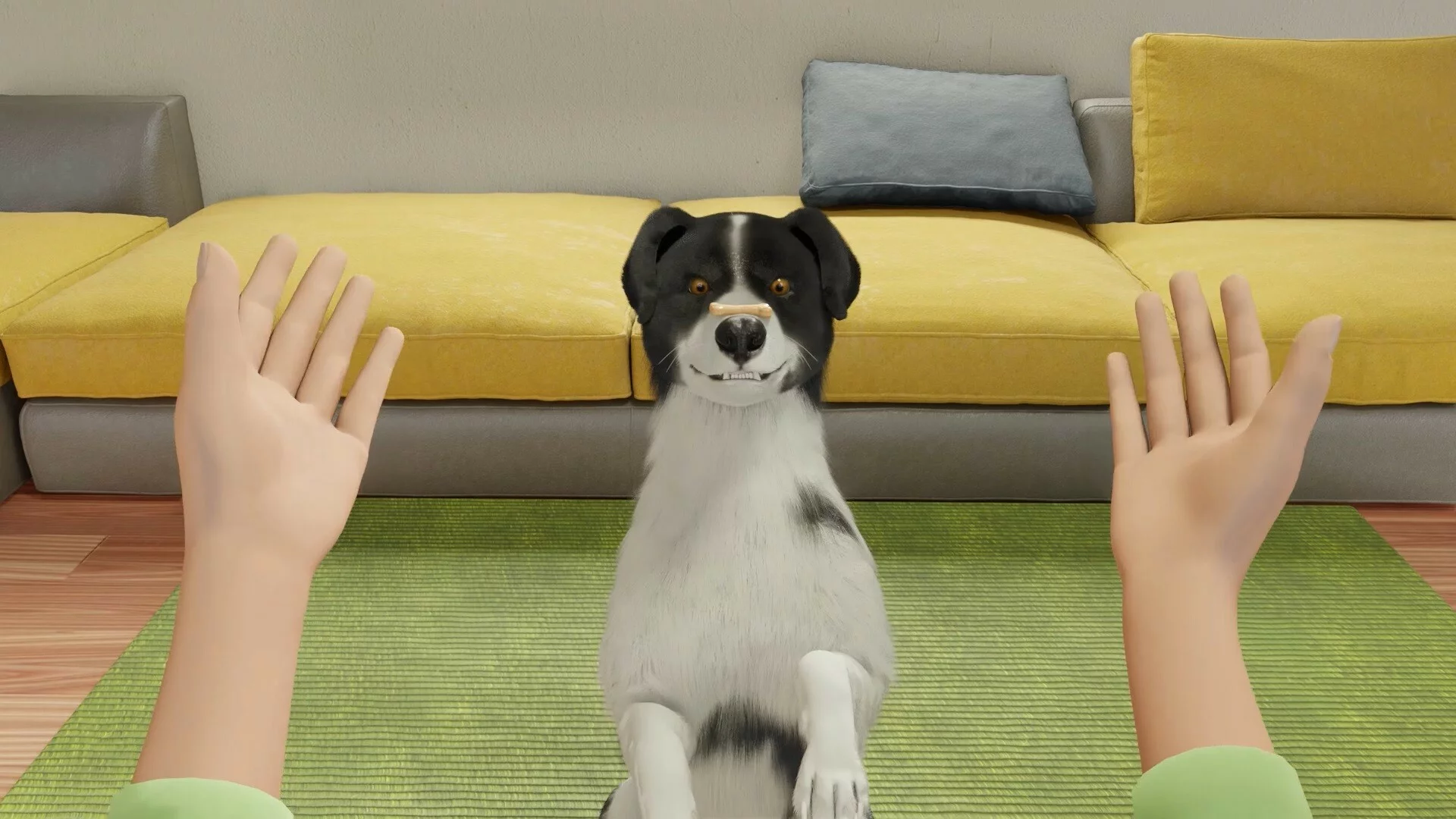 Изображение игры: Dog Trainer