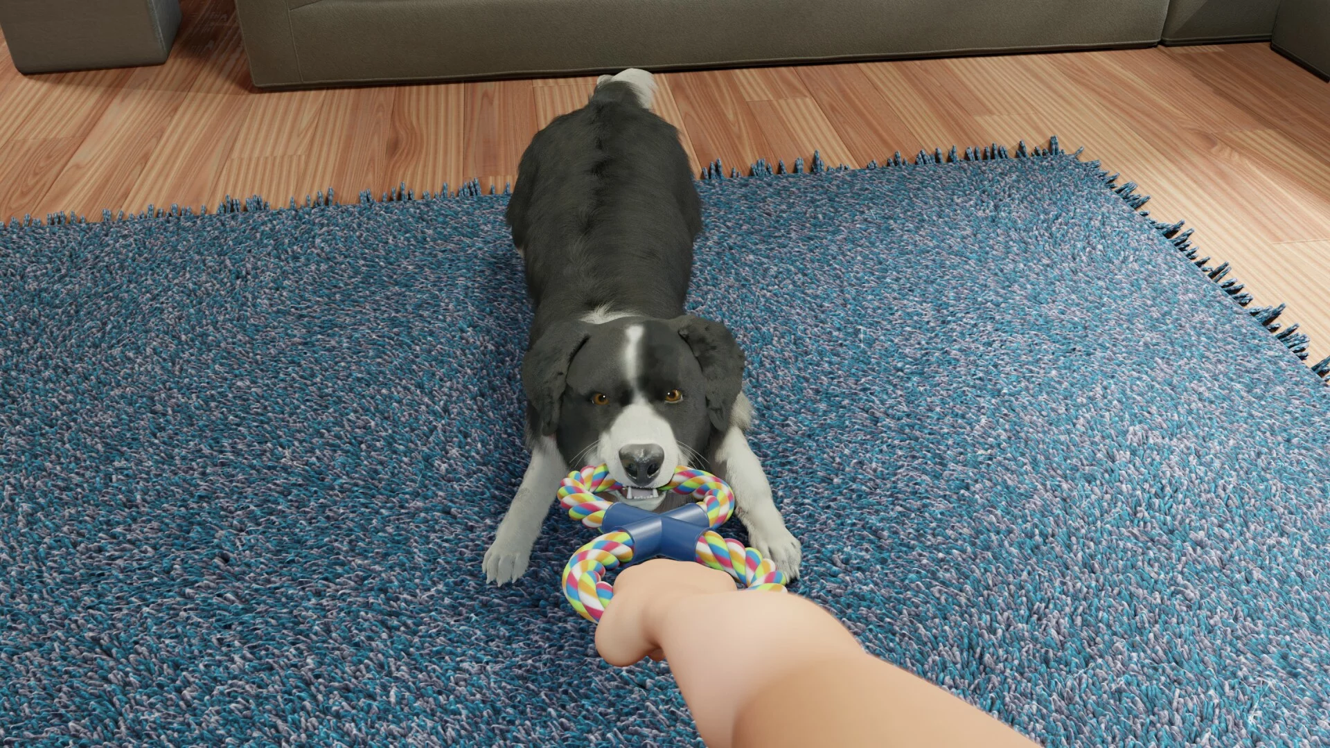 Изображение игры: Dog Trainer