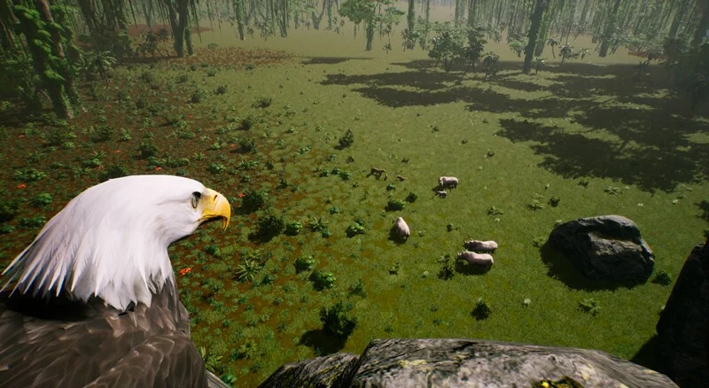 Изображение игры: The Savana