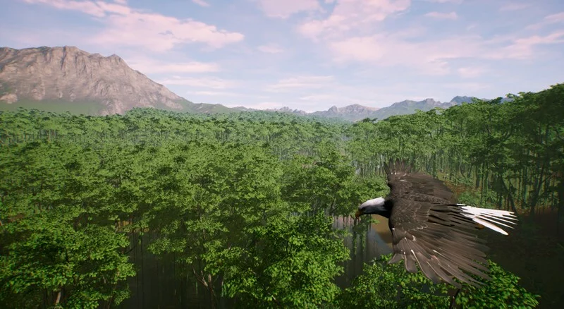 Изображение игры: The Savana