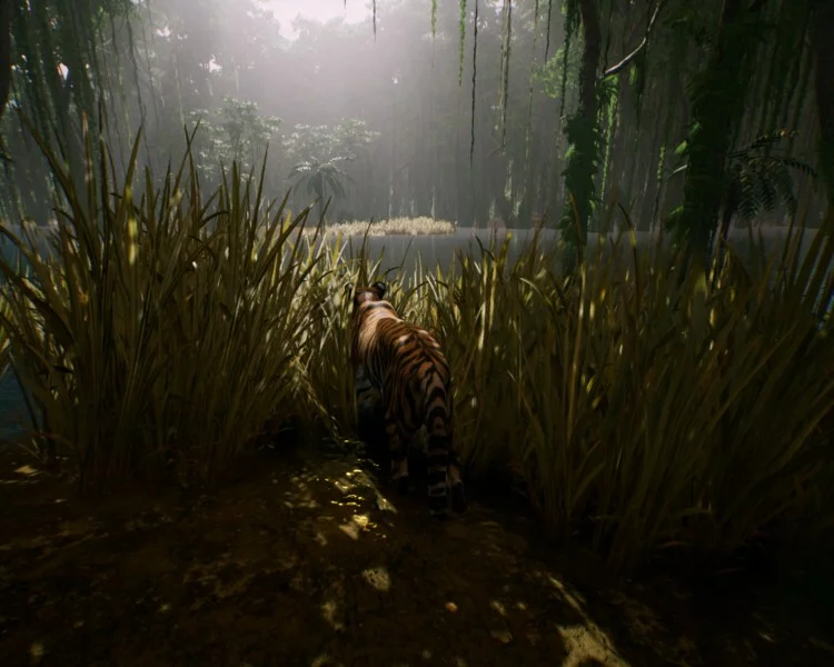 Изображение игры: The Savana
