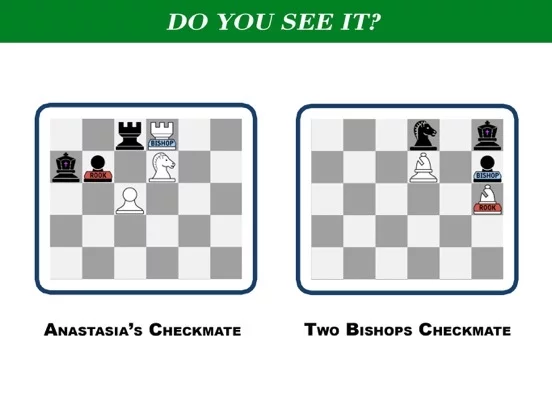 Изображение игры: PlunderChess