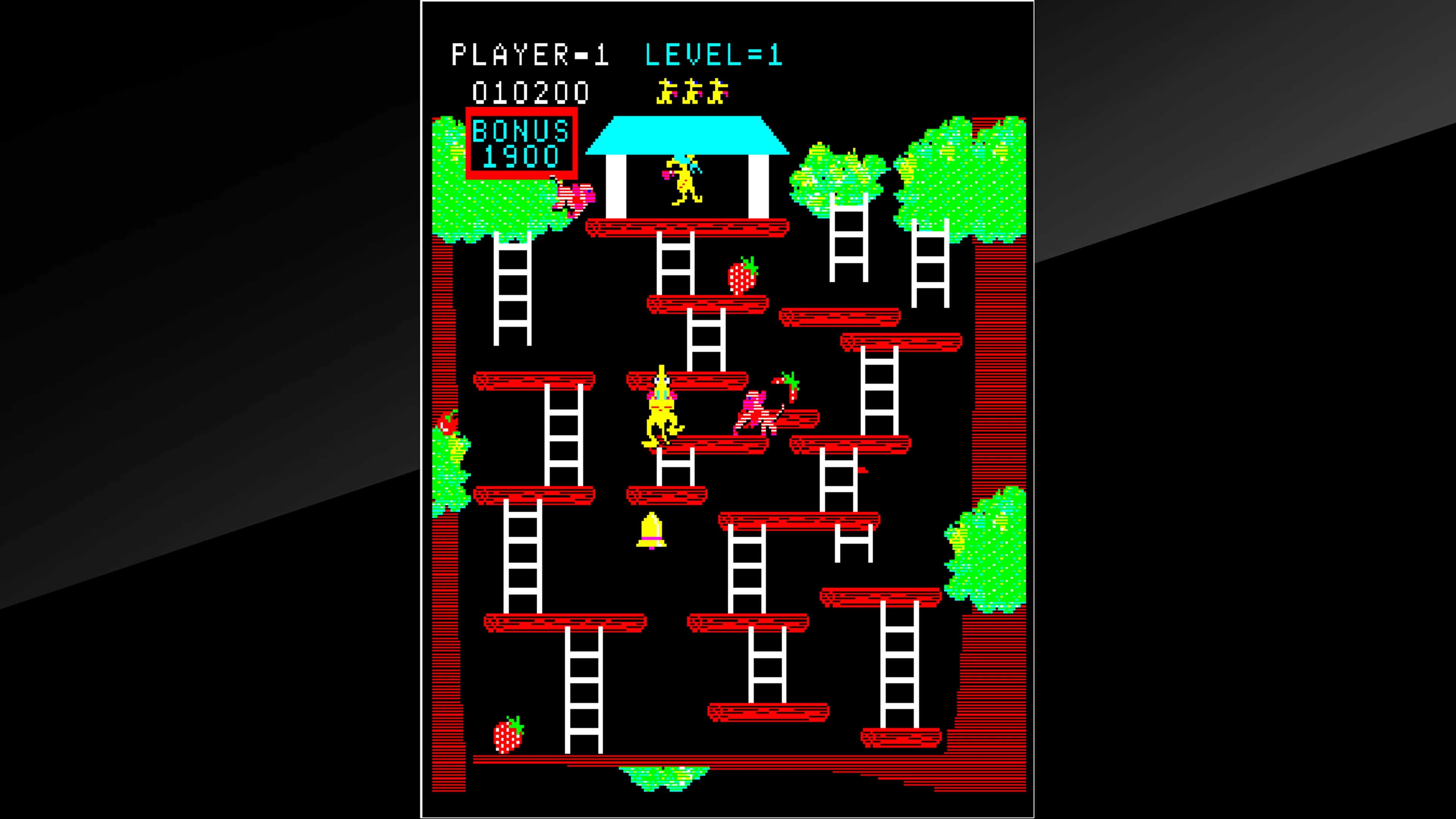 Изображение игры: Arcade Archives Kangaroo