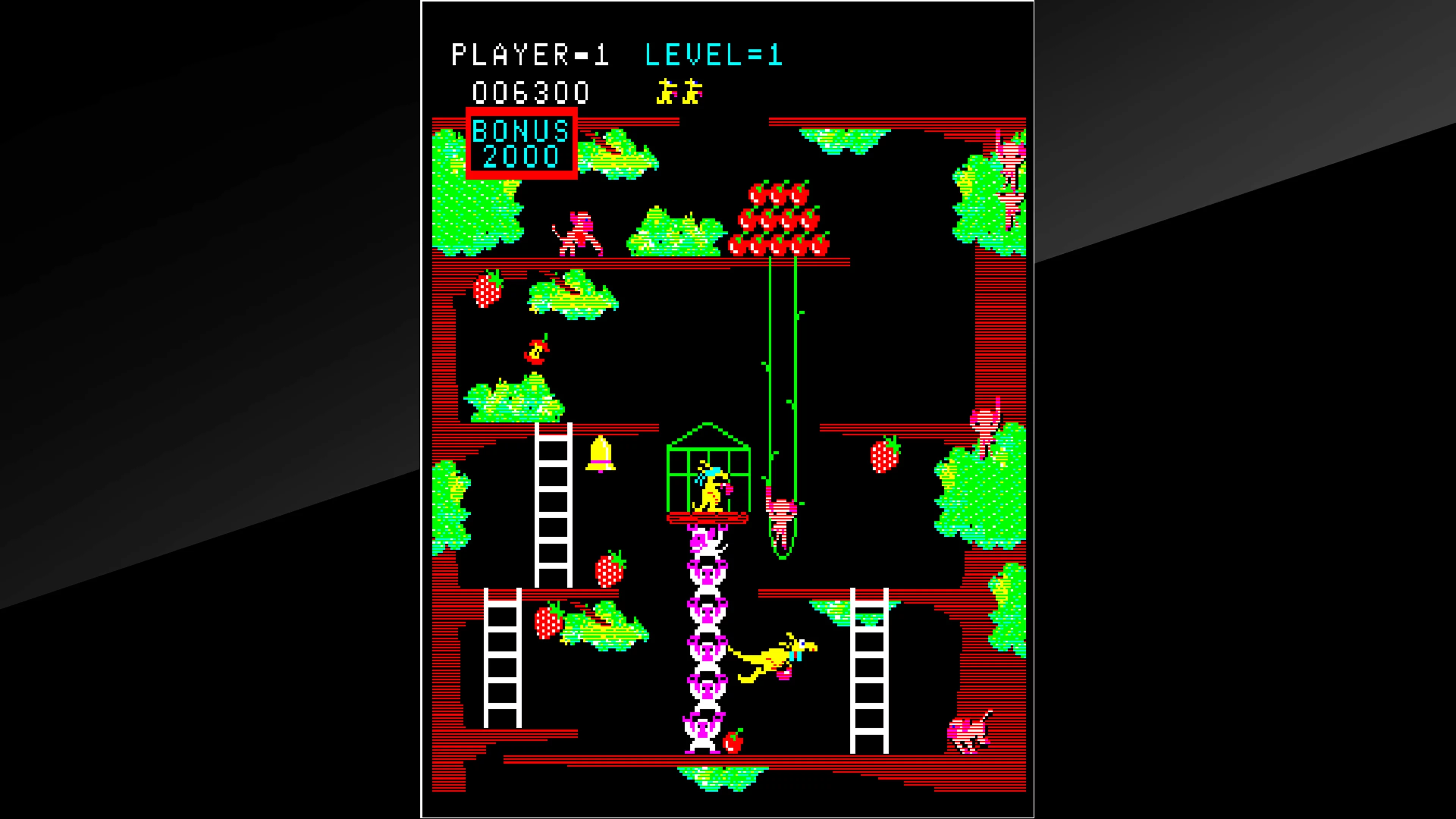 Изображение игры: Arcade Archives Kangaroo