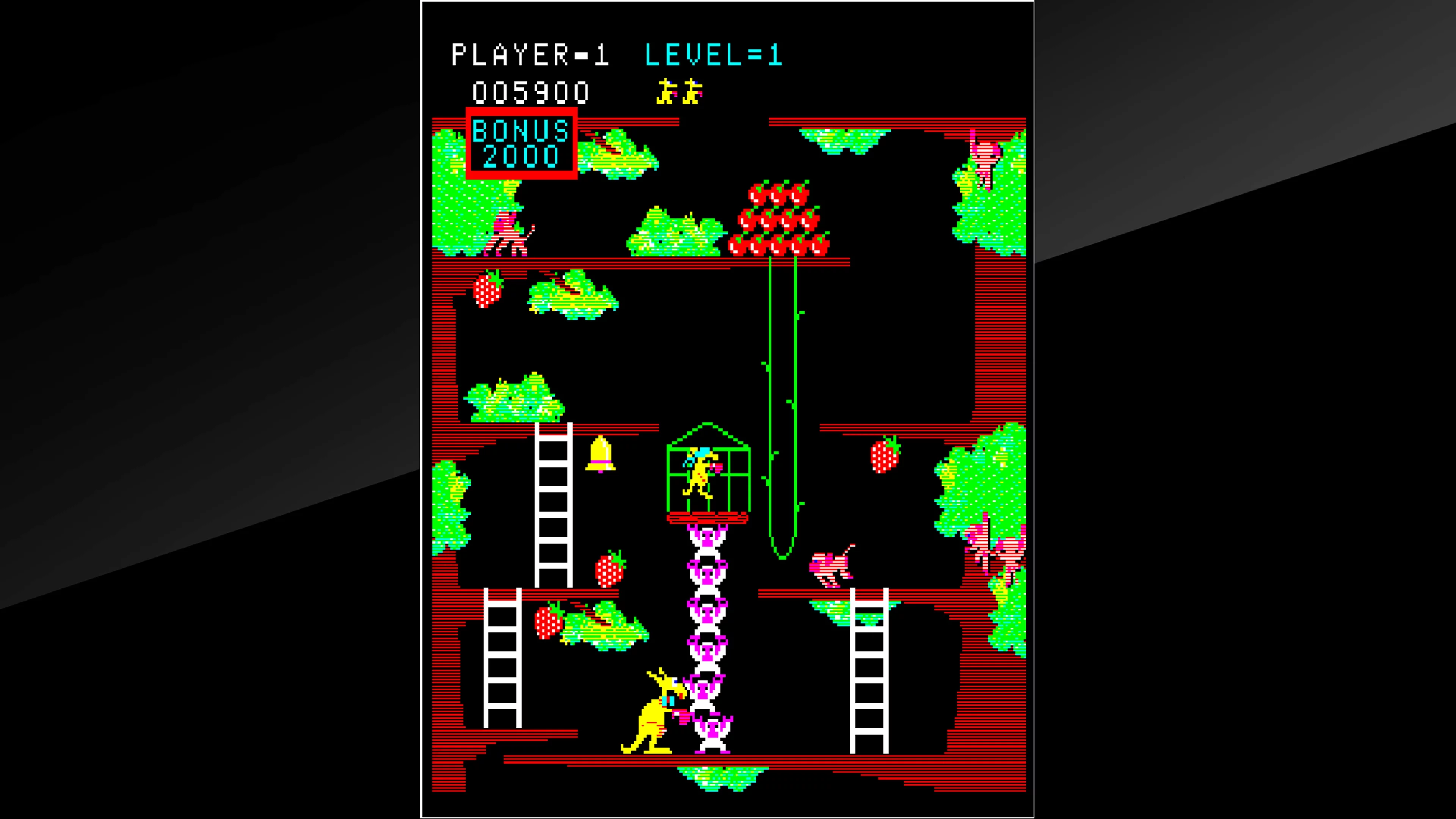 Изображение игры: Arcade Archives Kangaroo