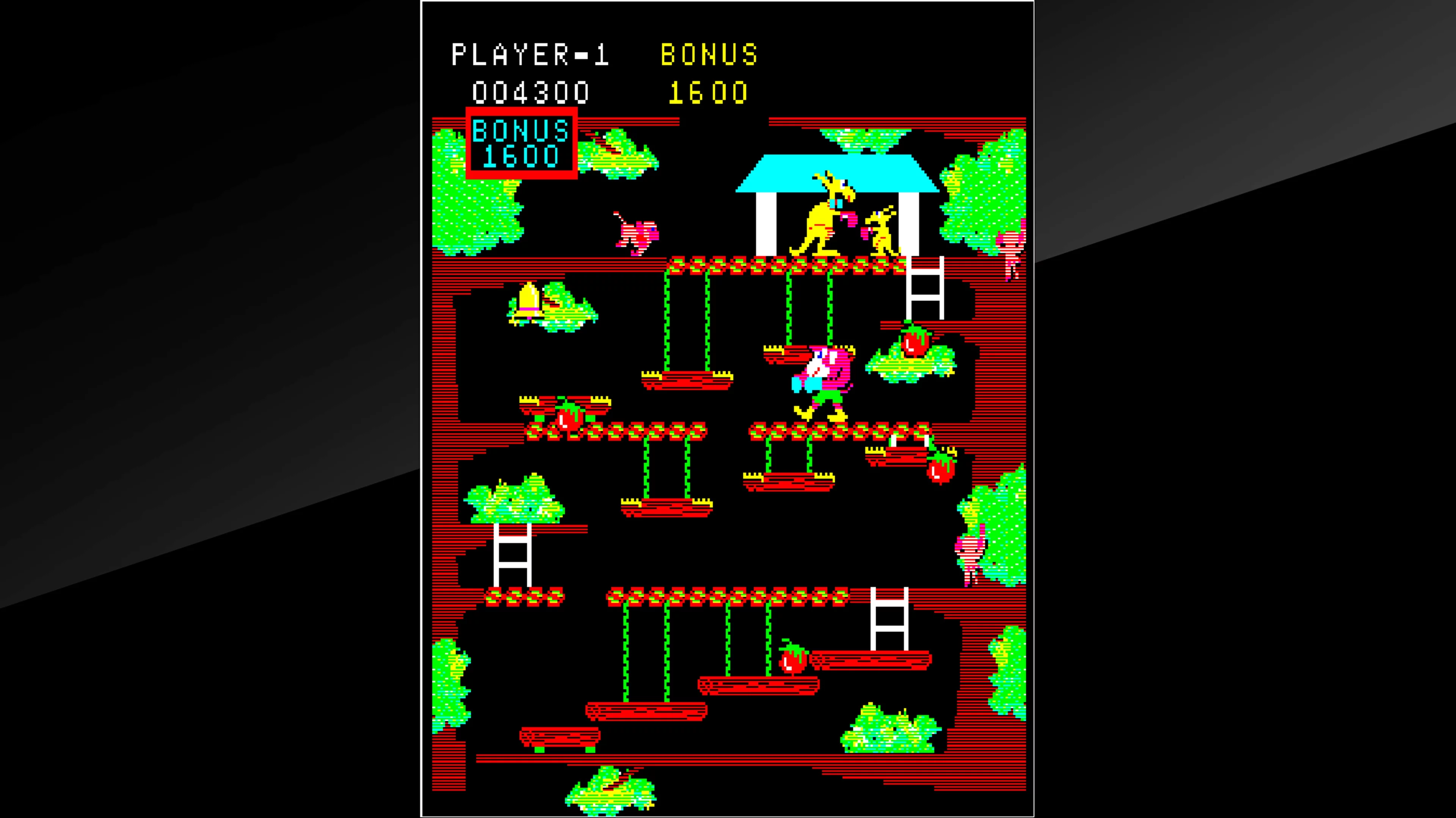 Изображение игры: Arcade Archives Kangaroo