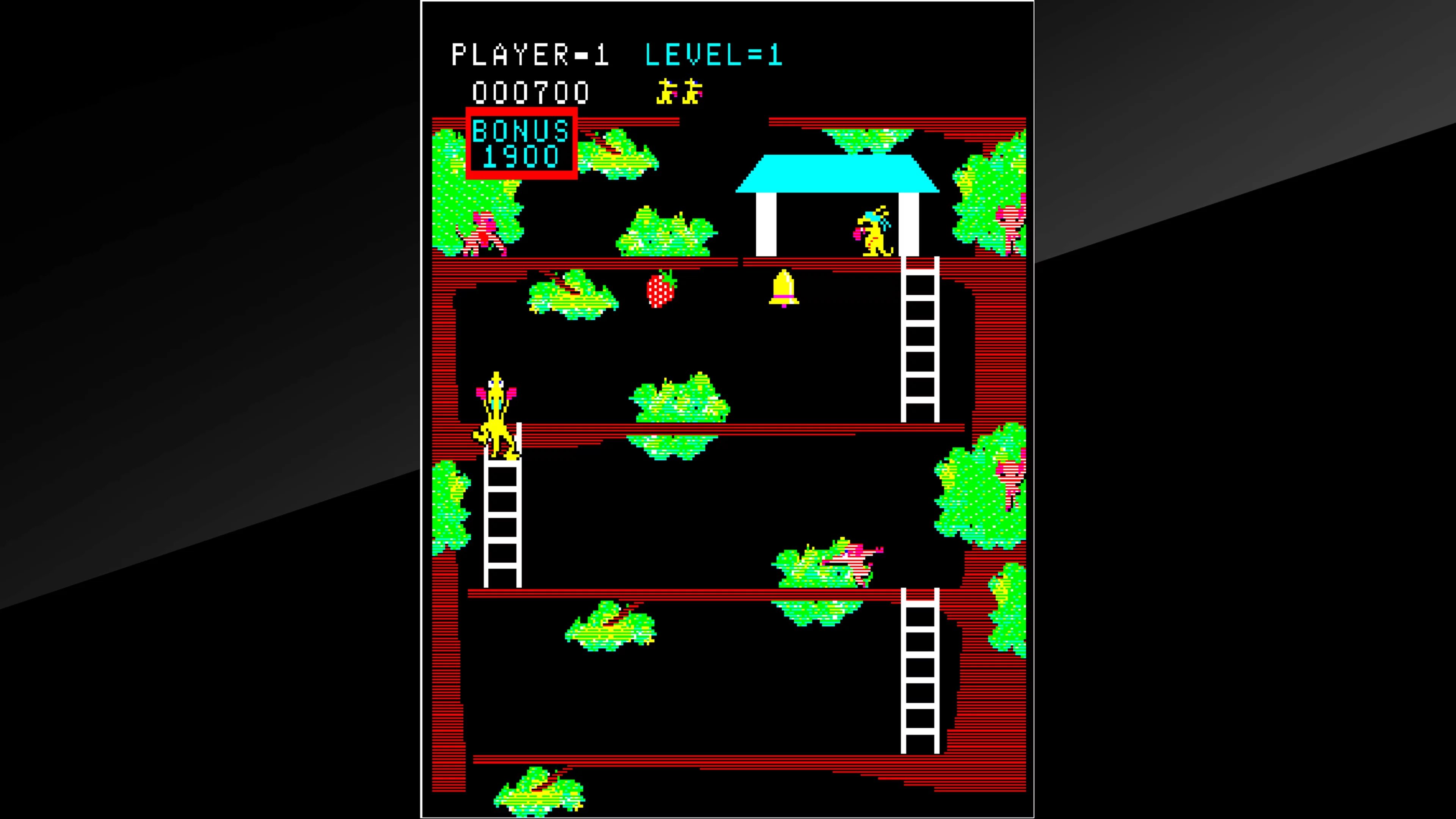 Изображение игры: Arcade Archives Kangaroo