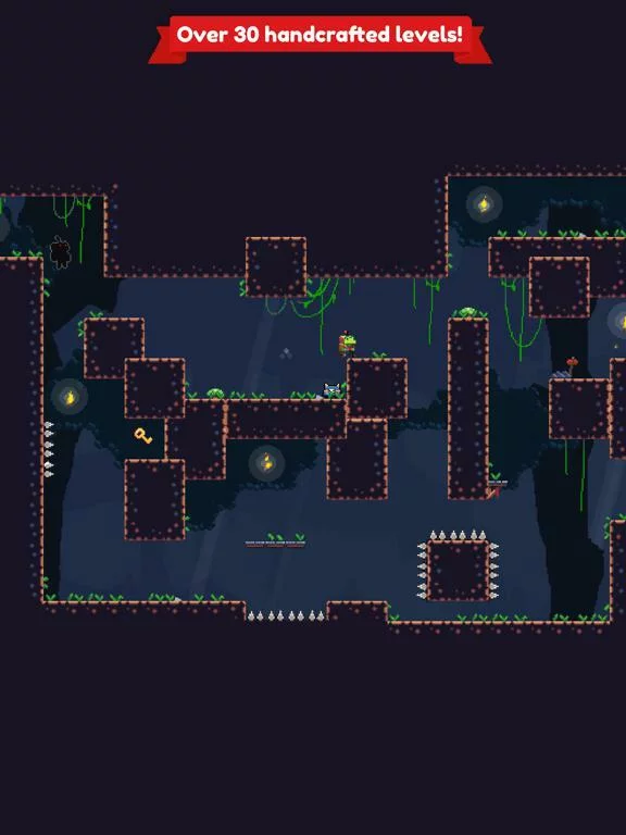 Изображение игры: Shadow Frog