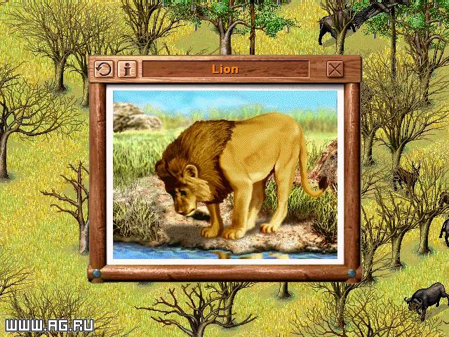 Изображение игры: SimSafari