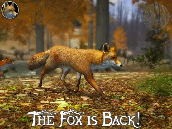 Изображение игры: Ultimate Fox Simulator 2