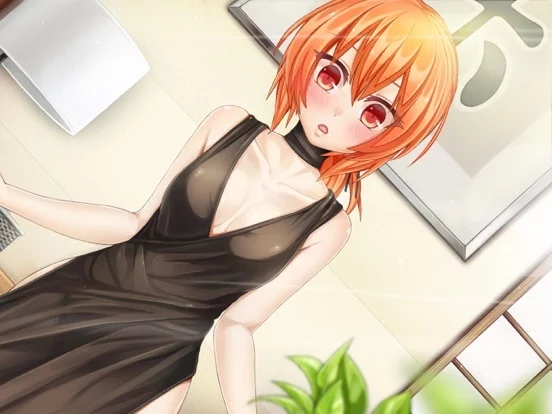 Изображение игры: Kaori After Story Visual Novel