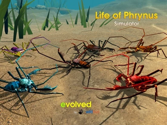 Изображение игры: Life of Phrynus - Whip Spider