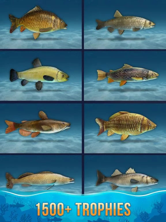 Изображение игры: Sport Fishing: Catch a trophy